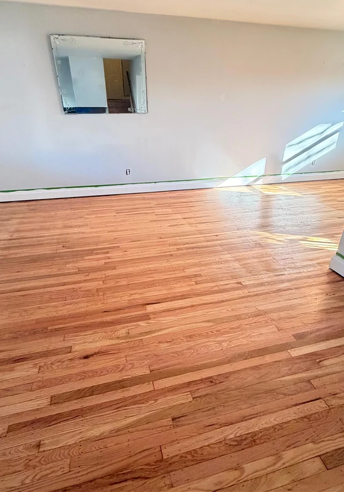Floor refinishing 1